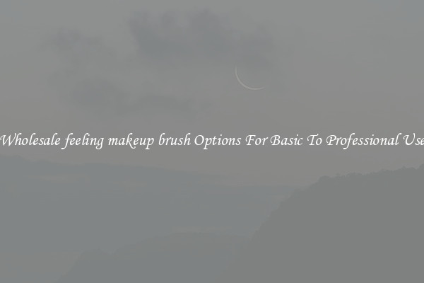 Wholesale feeling makeup brush Options For Basic To Professional Use