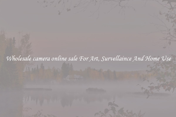 Wholesale camera online sale For Art, Survellaince And Home Use