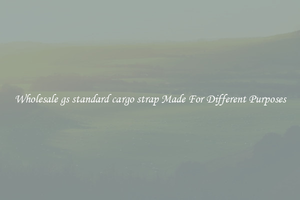 Wholesale gs standard cargo strap Made For Different Purposes