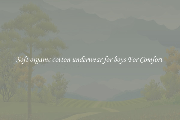 Soft organic cotton underwear for boys For Comfort 