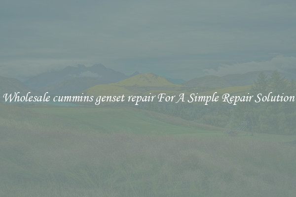 Wholesale cummins genset repair For A Simple Repair Solution