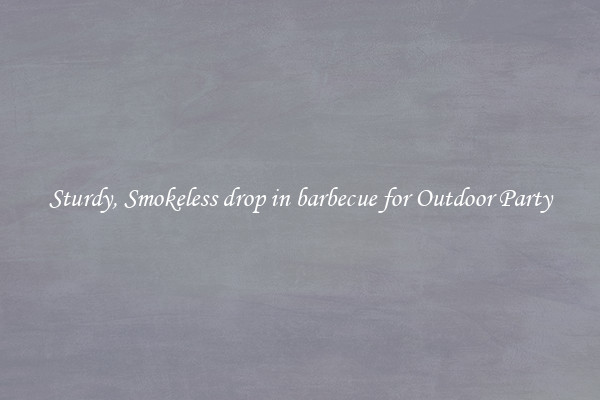 Sturdy, Smokeless drop in barbecue for Outdoor Party
