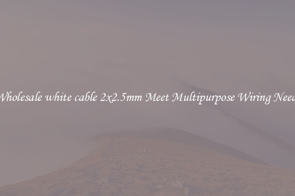 Wholesale white cable 2x2.5mm Meet Multipurpose Wiring Needs