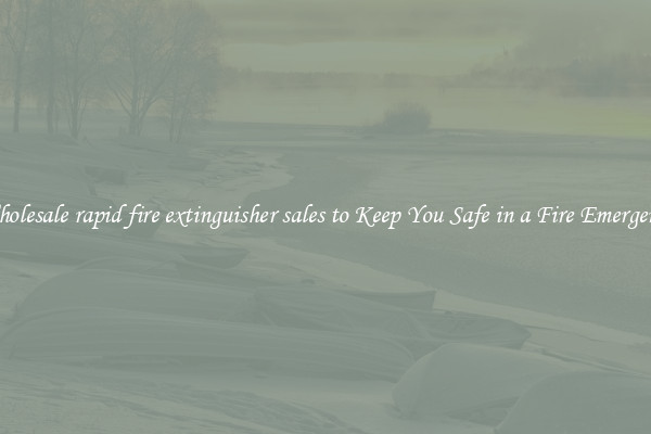 Wholesale rapid fire extinguisher sales to Keep You Safe in a Fire Emergency