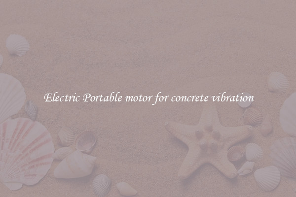 Electric Portable motor for concrete vibration