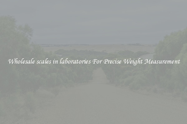 Wholesale scales in laboratories For Precise Weight Measurement