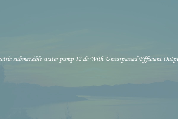 electric submersible water pump 12 dc With Unsurpassed Efficient Outputs