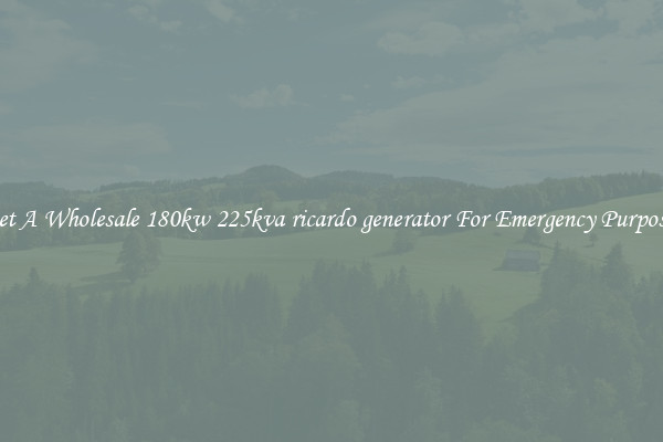 Get A Wholesale 180kw 225kva ricardo generator For Emergency Purposes