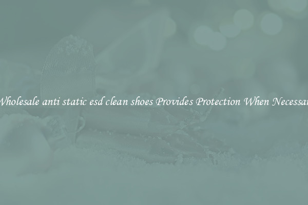 Wholesale anti static esd clean shoes Provides Protection When Necessary