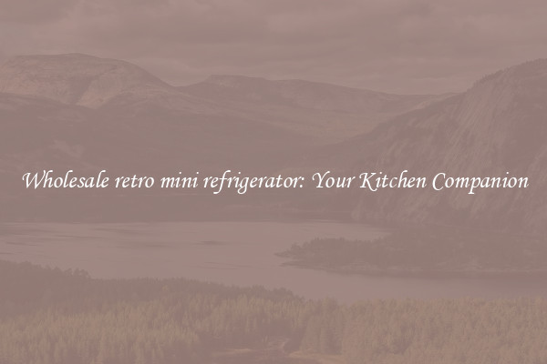 Wholesale retro mini refrigerator: Your Kitchen Companion