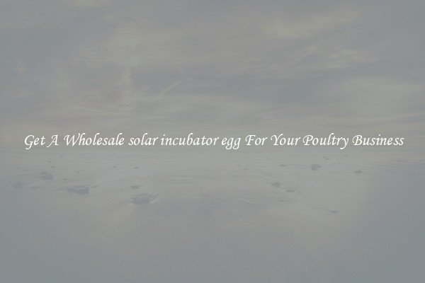 Get A Wholesale solar incubator egg For Your Poultry Business