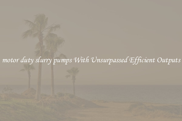 motor duty slurry pumps With Unsurpassed Efficient Outputs