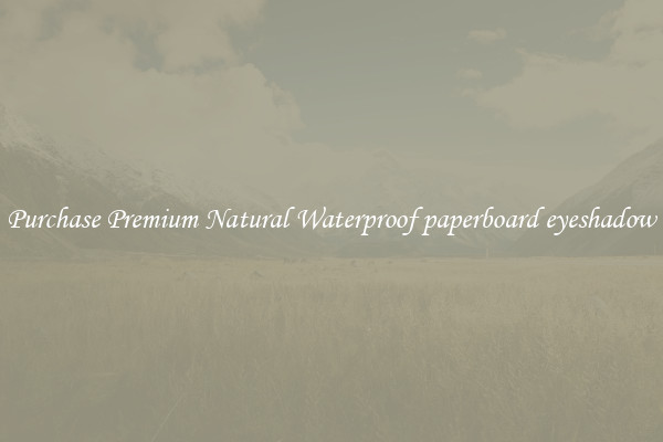 Purchase Premium Natural Waterproof paperboard eyeshadow