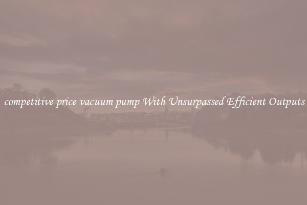 competitive price vacuum pump With Unsurpassed Efficient Outputs