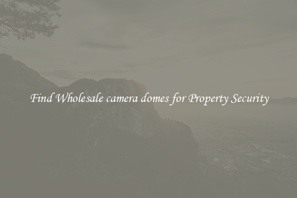 Find Wholesale camera domes for Property Security