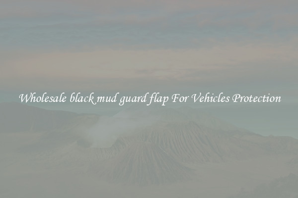 Wholesale black mud guard flap For Vehicles Protection
